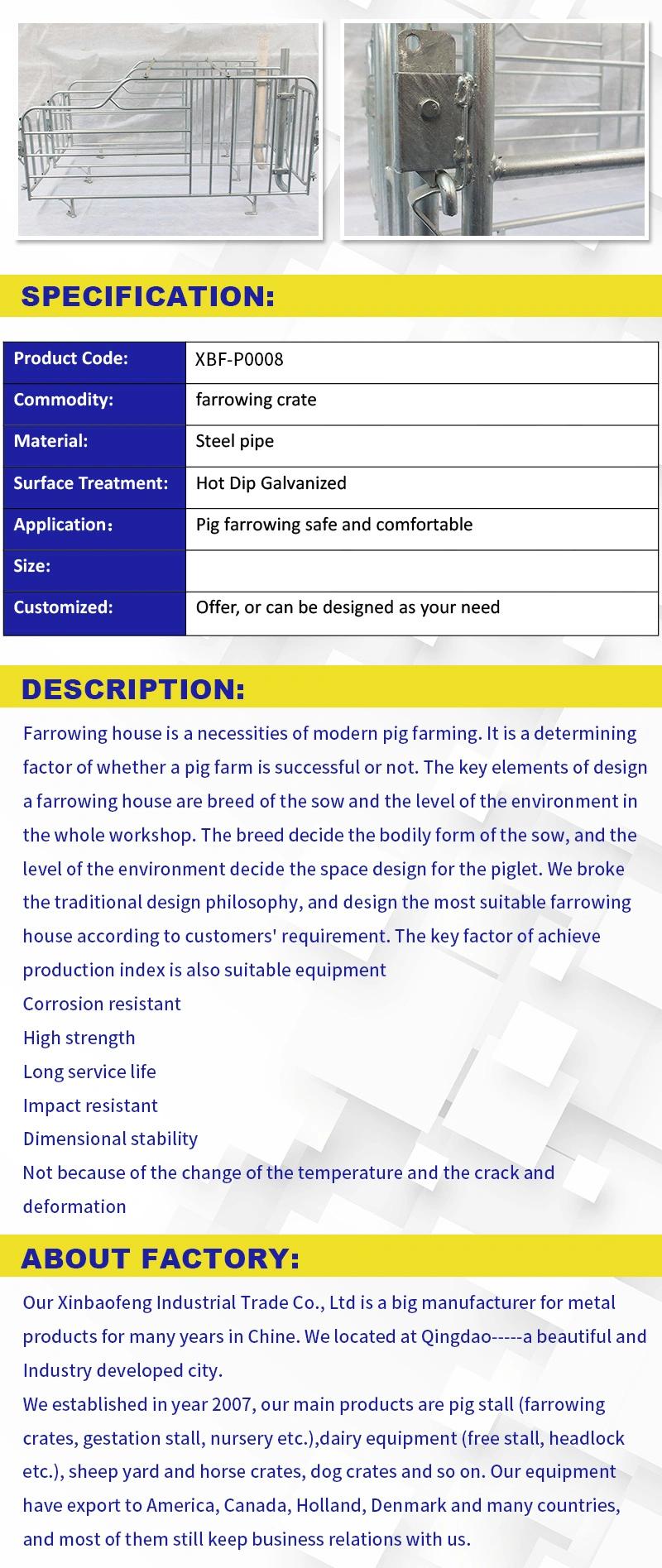 China-Made Farrowing Pen for Sale of Pig Raising Equipment