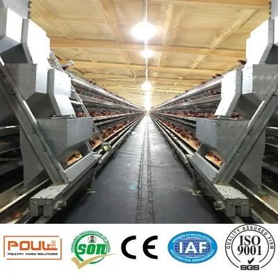 Chicken Cage Equipment Poultry Livestock Machinery