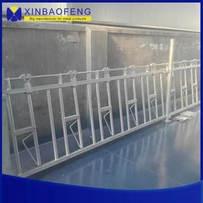 China Gold Supplier Dairy Farm Cow Feeding Cattle Headlock 6 Meter Long of 8 Cow Head Lock