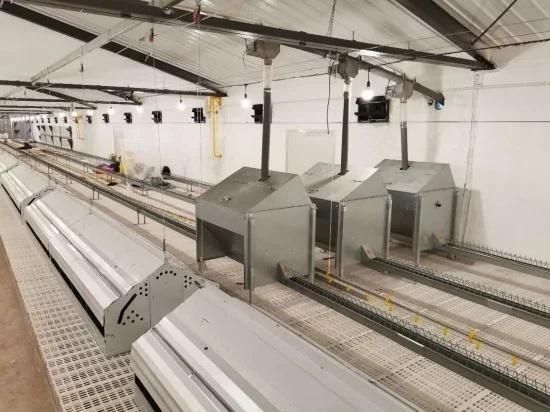 Automatic Laying Box for Broilers in Chicken Farm