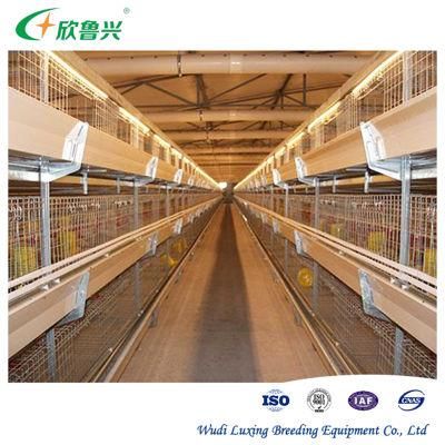 Fully Automatic Complete Chicken Broiler Layer Battery Farming Poultry Equipment