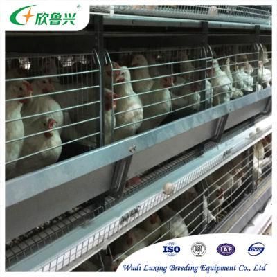 Hot Sale Galvanized Automatic Chicken Cages for Poultry Layer Farming Equipment