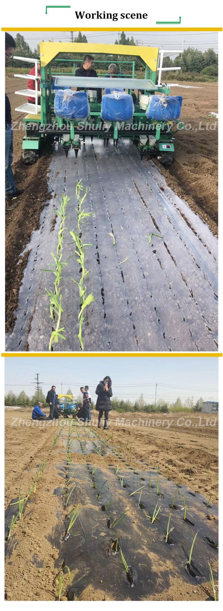 Automatic Green Onion Transplanter Lettuce Transplant Machines Vegetable Transplanter