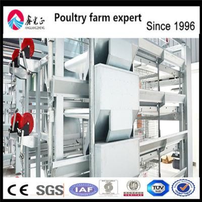 U-Best Low Price Equipment Chicken Layers Farm