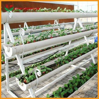 Intelligent Hydroponic Fertilizer System with LCD Control Screen