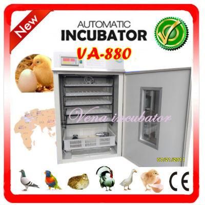 Christmas Goods Factory Wholesale Chicken Egg Incubators for Poultry Eggs Hatching Incubator Va-880