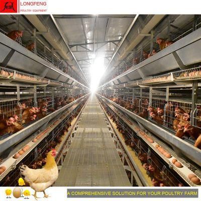 on-Site Installation Instruction Automatic Chicken Farming Poultry Farm Equipment Wire Mesh Cage