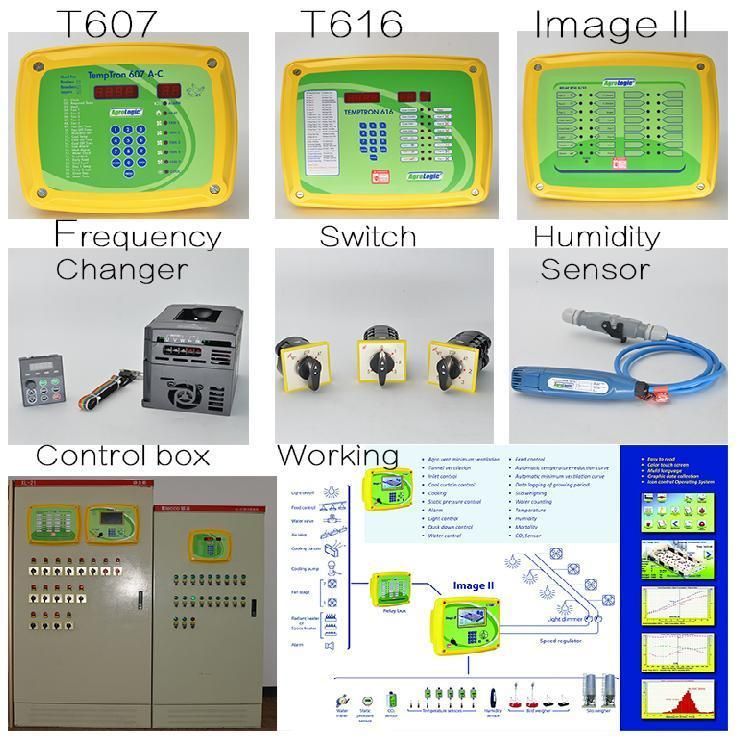 Electrical Control Poultry Farm Equipment for Broiler Chicken