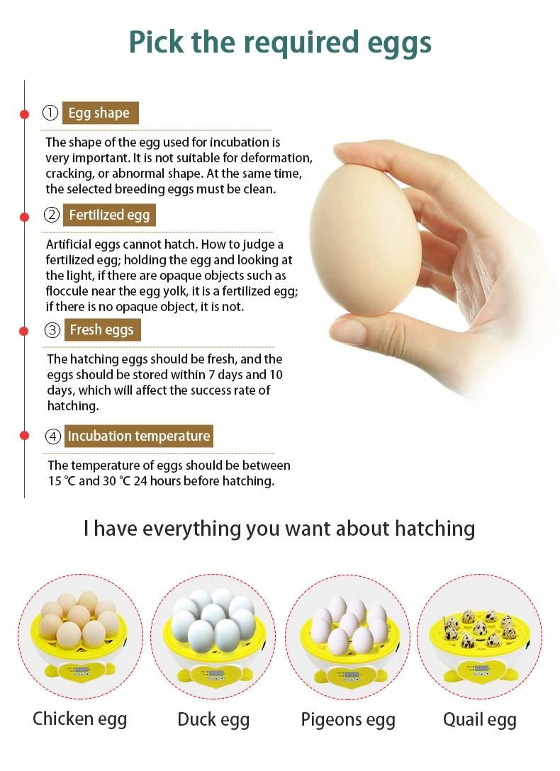 2022 New Product 3168 Egg Incubator for Hatching Chicks