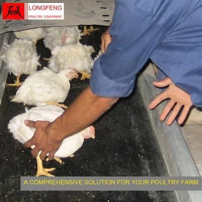 Hot Sale China Farming Longfeng Chicken Feeder Broiler Cage Poultry Farm Equipment 9lcr-3120