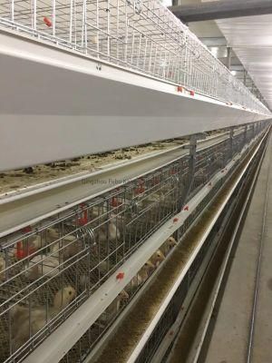 Automatic Battery Commercial Poultry Feed System for Broiler/Layer/Egg Chicken