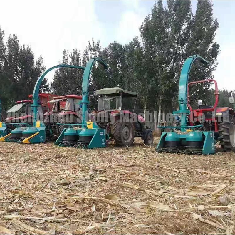 Harvester Silage Mombaca Silage Harvester Quality Manufacturer Silage Harvester