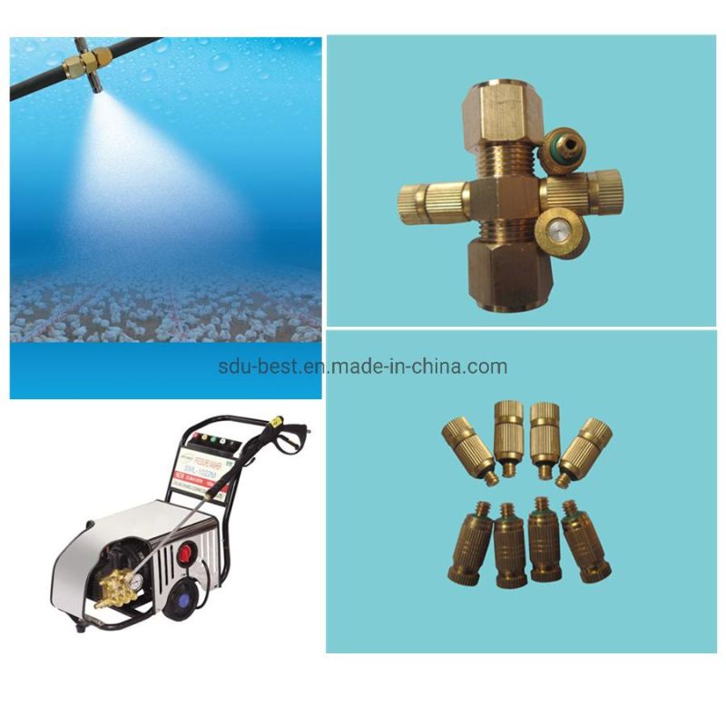Automatic Chicken Poultry Farm Equipment for Broiler