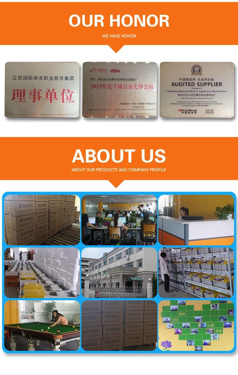 Hhd Snake Incubator Egg Hatching Machine Cheaper Price