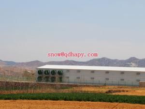 Poultry Farming House Machinery with Prefab Light Steel Installation