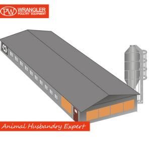 Poultry Farm Equipment/Poultry Farm House Design/ Steel Structure Chicken House
