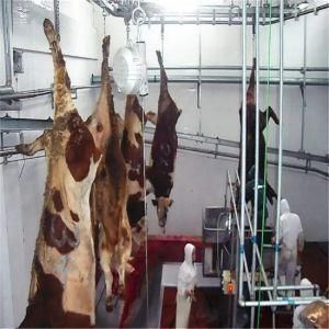 Cattle Cow Halal Turnkey Slaughtering Line Completely for Slaughter Line