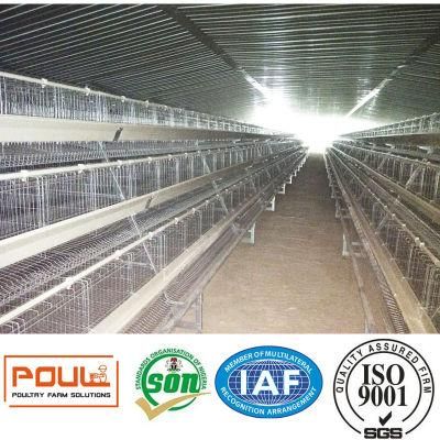 Layer Chicken Farm Poultry Cages