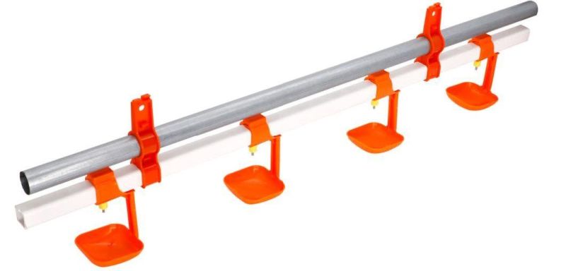Automatic Nipple Drinking System for Broiler Chicken Poultry Farm