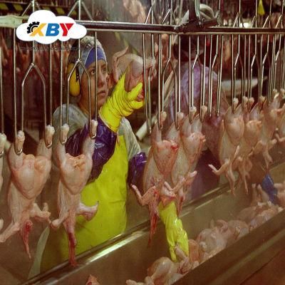Poultry Chicken Slaughterhouse Processing Line Machine Equipment