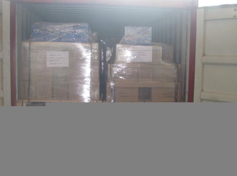 Silo and Hopper Farm Feeding System for Poultry