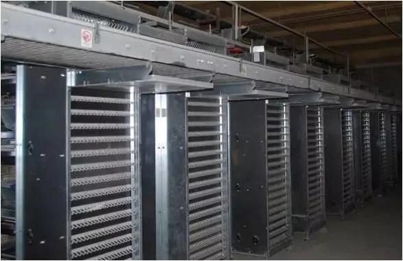 Xgz Group's Livestock Farming Houses for Pigs