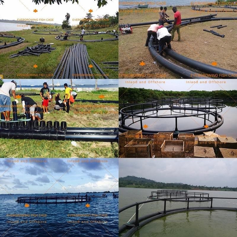 HDPE Circular Sea Floating Fish Farming Aquaculture Cage