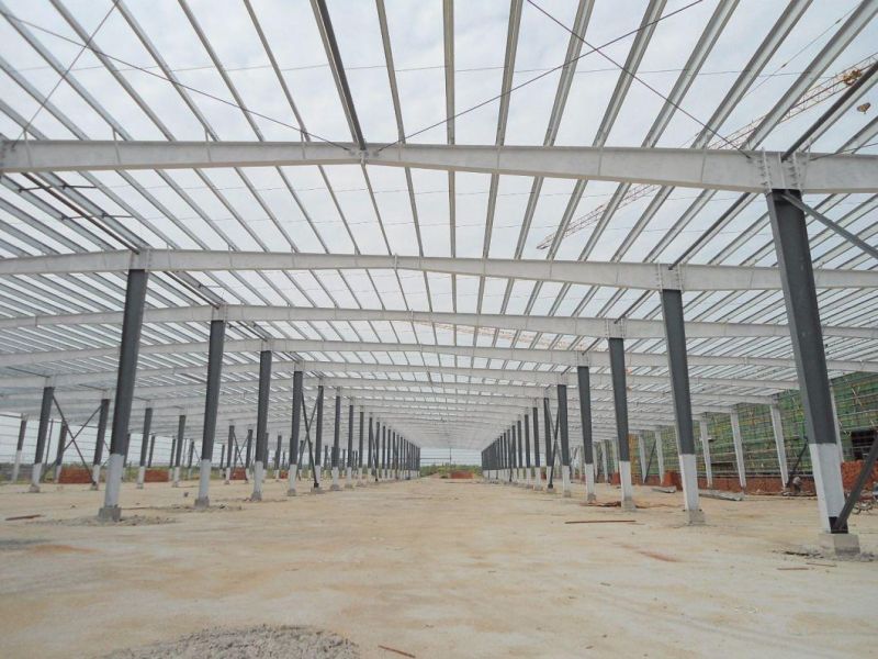 Best Design Low Cost and High Quality for Africa Steel Structure Workshop/Warehouse