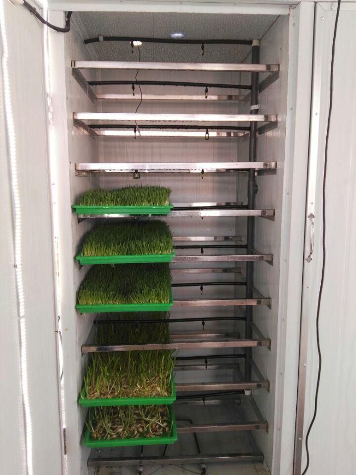 Small Hydroponic Fodder Growing Systems Machine With 12 trays