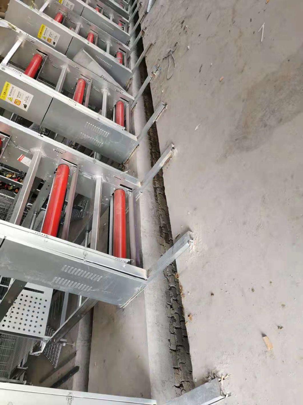 Broilerfactory Poultry Equipment Galvanized Cage H Type Cage