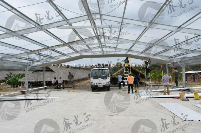 Steel Structure Chicken House with H Type Layer Cage