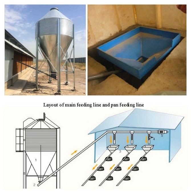 Modern Chicken Coop and Broiler Breeding Equipment/Automatic Drinking Water for Chickens