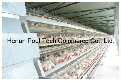 Type a Hot Galvanized Chicken Cage