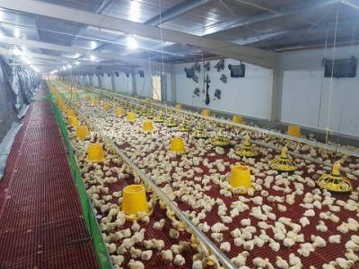 Poultry Farm in Malaysia for Broiler Chicken House
