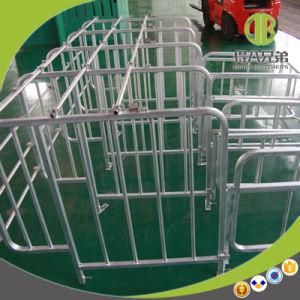 China Supplier Competitive Price Pig Gestation Stall for Sale