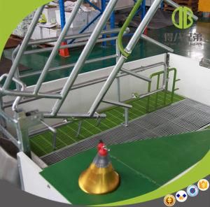 High Quality Farrowing Crates for Sow Agricultural Equipment for Pig