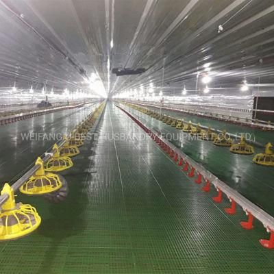 Modern Poultry Equipment Broiler Shed Design Chicken Farm
