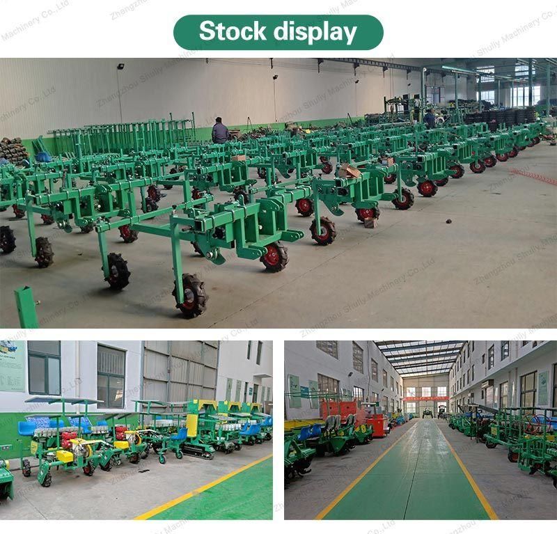 Agricultural Machinery Vegetable Seedling Transplanter Cabbage Garlic Planting Machine