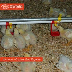 Automatic Chicken Nipple Drinker for Breeder/ Broiler/ Layer