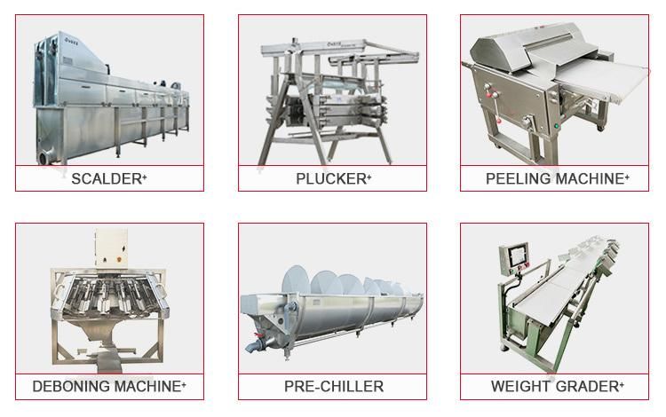 Chicken Plucker for Poultry Chicken Plucking Machine