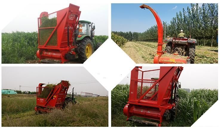 Farm Equipment Mini Silage Combine Harvester Corn Stalk Grass Chopper with Wholesale Price