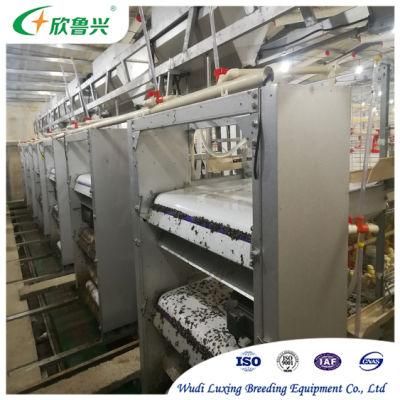 Modern Design a Type H Type Fully Automated Breeding Equipment