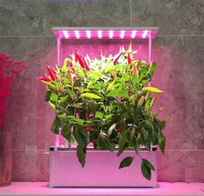 Smart Hydroponics Home Kitchen Appliance Indoor Garden Planter Big Harvesters