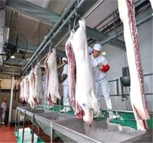 Pig Bleeding Conveyor for Large Slaughterhouse