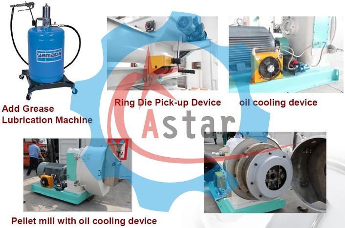 Cattle Chicken Poultry Swine Pig Pork Cow Beef Livestock Feedstuff Making Ring Die Pellet Machine Feed Processing Machine for Sale