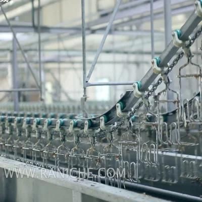 1000bph Chicken Slaught Slaughterhouse Equipment in Saudi Arabia