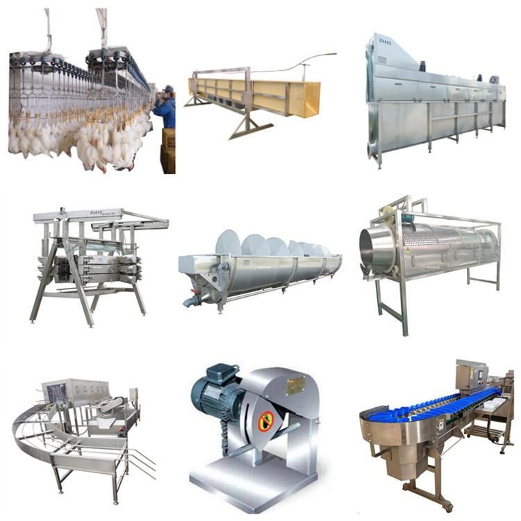 1000bph Poultry Slaughter Equipment Chicken Processing Machine