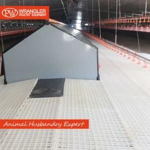 Poultry Chicken Farm Automatic Egg Laying Nest Box for Promotion