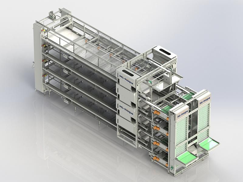 H Type Automatic Chicken Layer Cages for Pullet and Layer