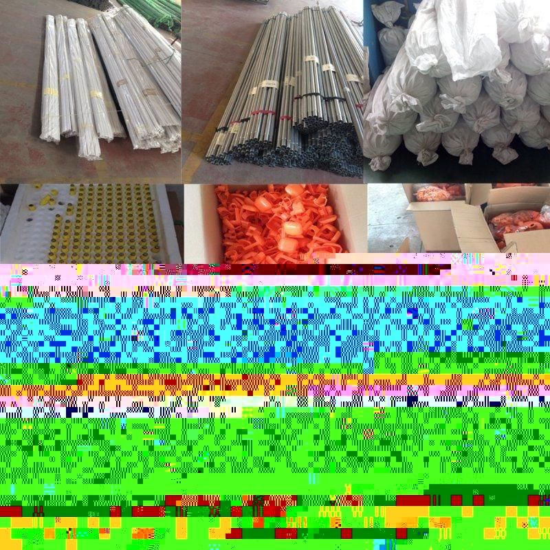 Poultry Farming Equipment for Automatic Broiler House